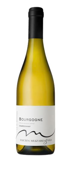 Domaine Lucien Muzard Bourgogne Blanc 2022 | 75cl